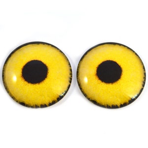 May include: Two yellow glass eyes with black pupils, suitable for craft projects.