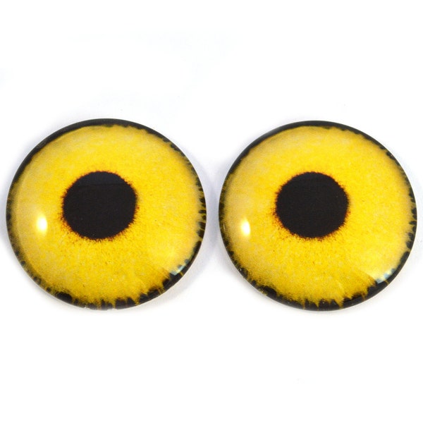 Yellow Sparrow Hawk Bird Glass Eyes 6mm to 40mm Jewelry Making Art Dolls Taxidermy Sculptures Eyeball Flatback Domed Circle Cabochons Animal