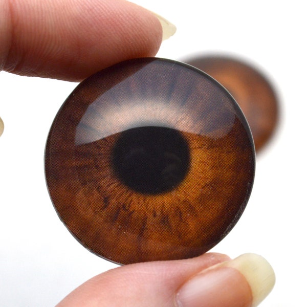 Medium Brown Realistic Human Glass Eyes 6mm to 40mm Jewelry Supplies Art Doll Taxidermy Sculpture Polymer Clay Flatback Domed Craft Making