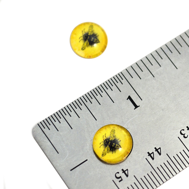 Bright Yellow Honey Bee Cabochons 6mm to 40mm Jewelry Making Art Dolls Bug Insect Taxidermy Sculptures Eyeball Flatback Domed Viking