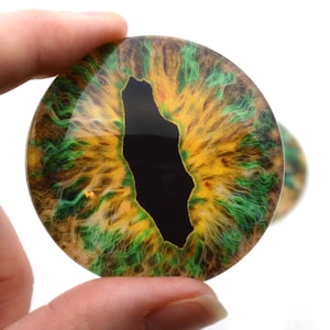 Peut inclure: Une paire d'yeux en verre ronds, de couleur verte et dorée, avec des pupilles noires. Les yeux sont conçus pour ressembler à des yeux de dragon.