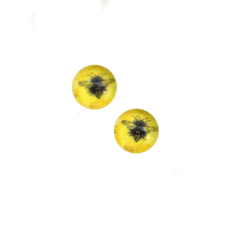 Bright Yellow Honey Bee Cabochons 6mm to 40mm Jewelry Making Art Dolls Bug Insect Taxidermy Sculptures Eyeball Flatback Domed Viking
