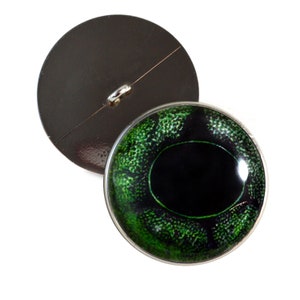 May include: Green eye button with a black pupil and a silver rim. The back of the button is black.