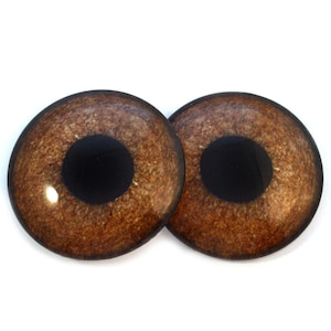 Könnte beinhalten: Zwei braune Glasaugen mit schwarzen Pupillen, geeignet für Bastelarbeiten.