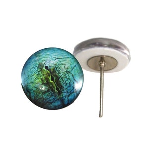 May include: A blue and green dragon eye with a black pupil, set on a white backing with a silver pin.