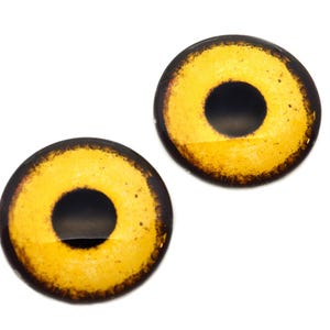 May include: Two round, glass cabochons with a yellow iris and a black pupil. The outer edge of the iris has a dark brown, distressed appearance. The cabochons are set against a white background.