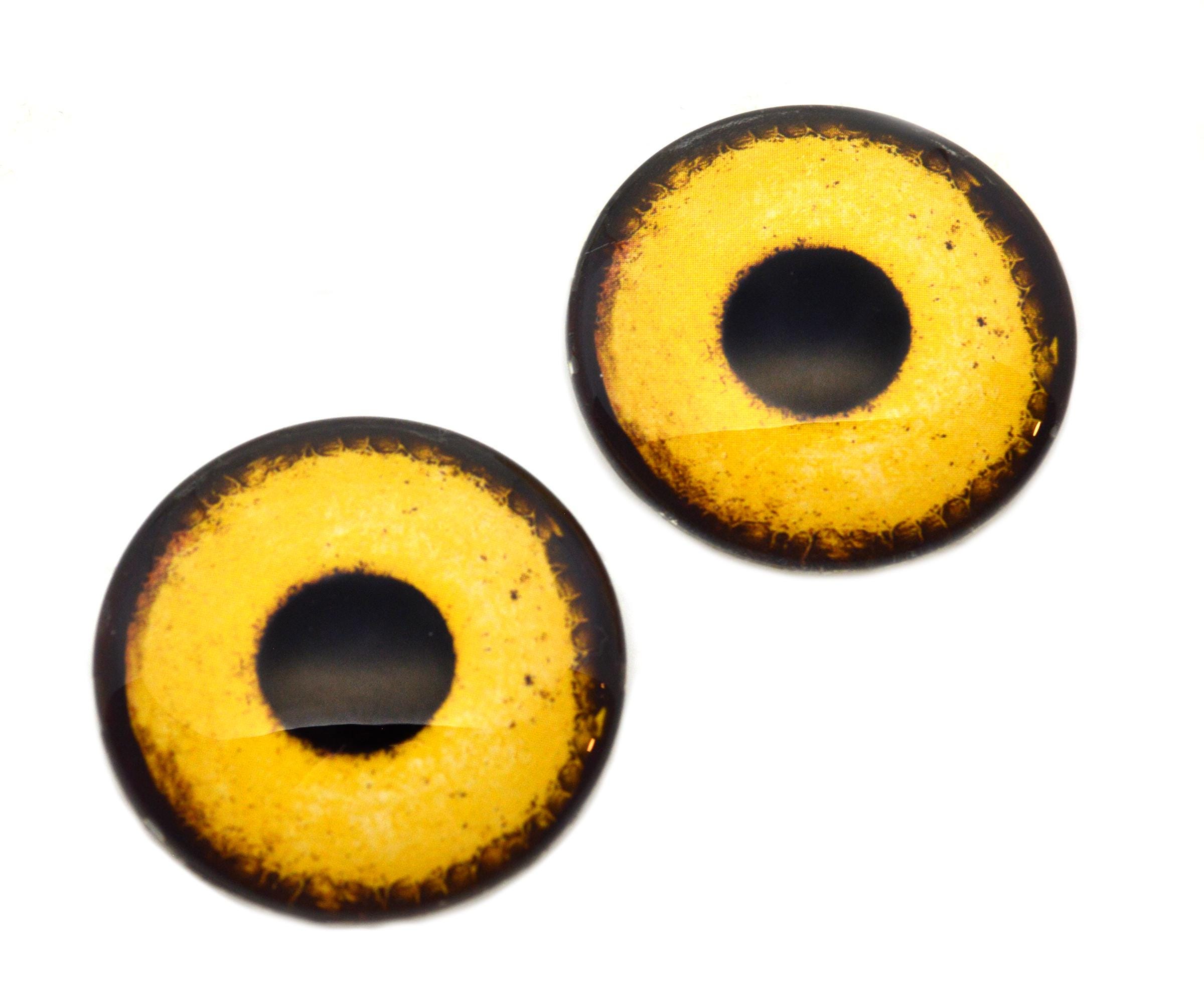Golden Eagle Bird Glass Eyes Yellow Small 6mm to Large 78mm Jewelry…