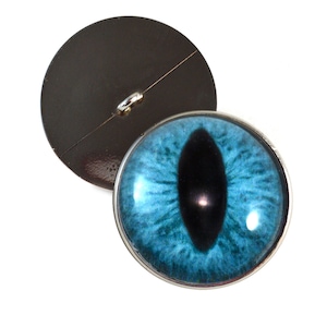 May include: A blue cat eye button with a silver rim. The button has a black pupil and a white highlight. The back of the button is a plain silver color.