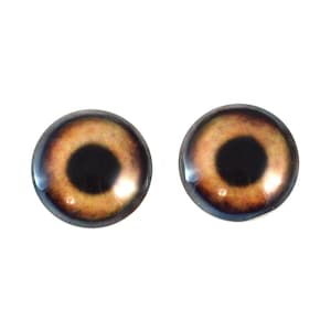May include: Two brown glass eyes with black pupils, suitable for doll making or other craft projects.