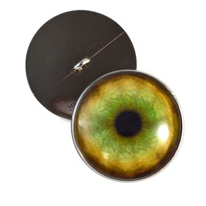 May include: A green and gold eye button with a black pupil and a silver rim. The button is attached to a black back.