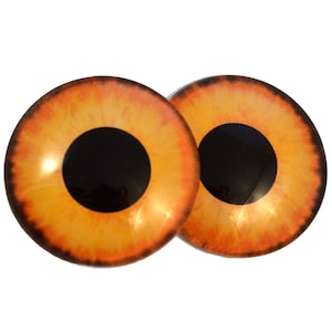 Wilde wezens glazen cabochons 6 mm tot 40 mm sieraden dieren kunst poppen taxidermie sculptuur plaksteen koepelvormig