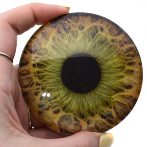 Puede incluir: Primer plano de un cabujón de resina de color verde y marrón con forma de ojo. El iris es verde con un anillo exterior marrón y una pupila negra. El cabujón es brillante y tiene un aspecto realista de ojo.