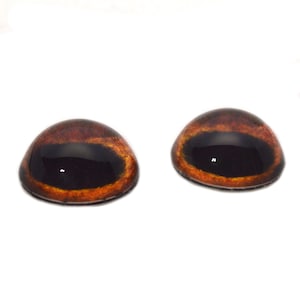 May include: Two brown and black plastic safety eyes for crafts. The eyes have a realistic look with a black pupil and a brown iris.