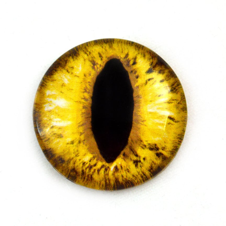 Single Golden Cat Eye 30mm Glass Cabochon | Etsy