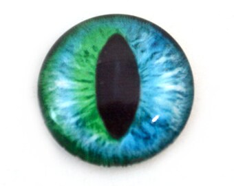 25mm Teal Blue-Green Cat Eye or Glass Dragon Eye