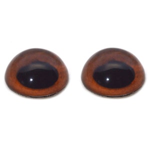 May include: Two brown plastic safety eyes with black pupils. The eyes are round and have a glossy finish.