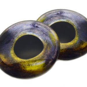 May include: Two glass eye cabochons with a dark blue and yellow iris design. The eyes have a glossy finish and a black pupil. The color transitions from yellow to dark blue, creating a unique and detailed appearance. These are ideal for crafting.