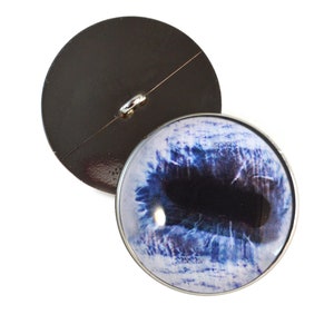 May include: A blue and white glass eye button with a silver rim. The back of the button is black with a silver loop.