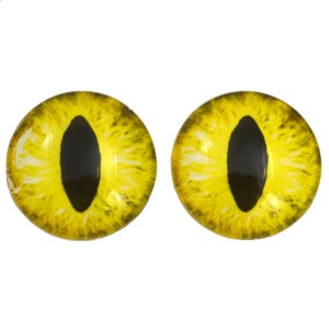 May include: Two yellow cat eyes with black pupils. The eyes are round and have a realistic look.