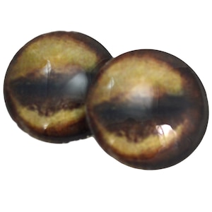 May include: Two round, glass-like eyes with a dark brown iris and a yellow-brown outer ring. The eyes have a glossy finish and are set against a white background. These craft supplies are ideal for doll making or other artistic projects.