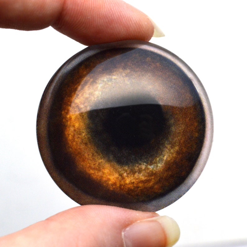 May include: A round, brown glass eye with a black pupil and a gold iris. The eye is designed for use in crafts and doll making.