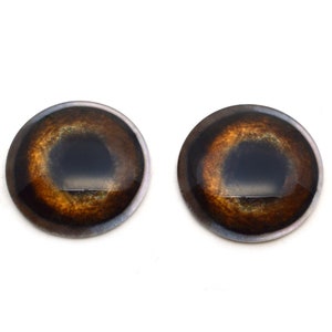 May include: Two brown plastic safety eyes with black pupils and a gold ring around the iris. The eyes are round and have a glossy finish.