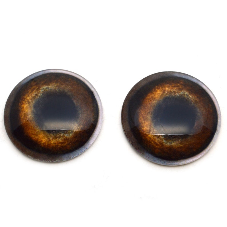 May include: Two brown plastic safety eyes with black pupils and a gold ring around the iris. The eyes are round and have a glossy finish.