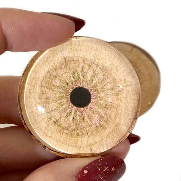 Wood Rings Nature Glass Eye Cabochons 6mm to 60mm Jewelry Wire Wrapping Pendant Making Art Doll Parts Faux Taxidermy Sculpture Tan Brown