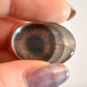 May include: A close-up of a brown glass eye with a black pupil and a detailed iris. The eye is round and has a glossy finish.