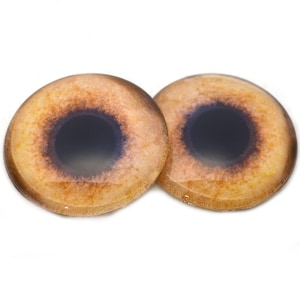 May include: Two brown glass eyes with black pupils, designed for use in crafts and doll making.