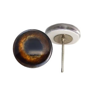 May include: A brown glass eye with a black pupil and a gold iris. The eye is attached to a white plastic base with a metal pin.