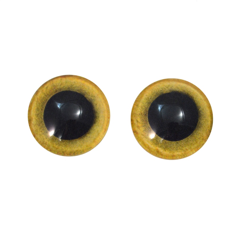 Yellow Owl Glass Eyes Pick Your Size for Jewelry Making, Art Dolls, Taxidermy, Sculptures Eyeball Flatback Domed Circle Cabochons image 6