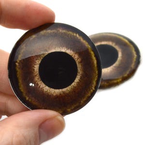 May include: Two brown and black glass eyes with a black pupil and a brown iris. The eyes are round and have a glossy finish.