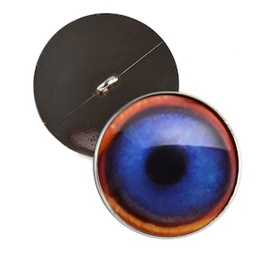 May include: A blue eye button with a red and orange iris. The button has a silver rim and a black back.
