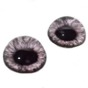 May include: Two gray and black glass eyes with a black pupil and a white iris. The eyes are round and have a glossy finish.