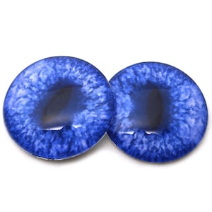 Puede incluir: Dos ojos de vidrio azules con pupila negra e iris blanco. Los ojos tienen un aspecto realista y son perfectos para proyectos de manualidades.