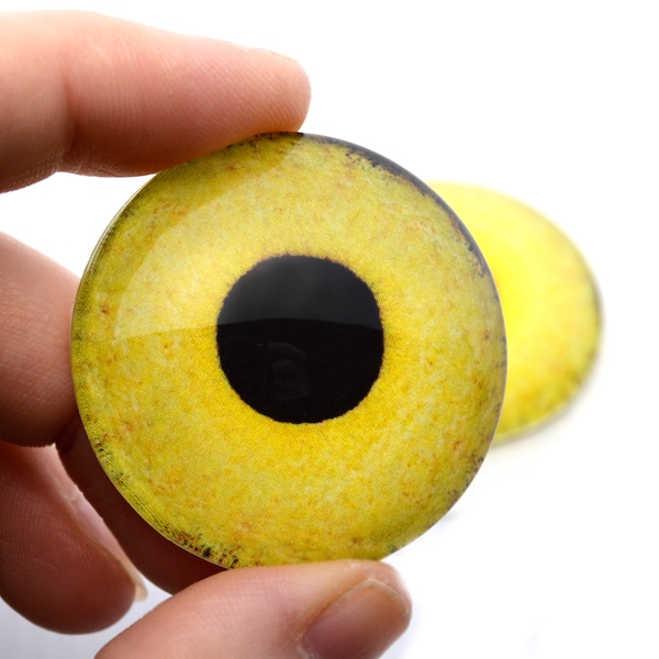 Light Yellow Owl realistic Bird Glass Eyes 6mm to 60mm Jewelry Making Art Doll Parts Taxidermy Sculpture Eyeball Flatback Domed Cabochons