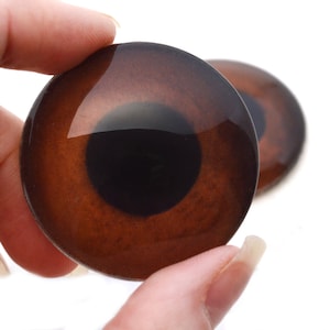 May include: Two brown and black plastic eyes with a shiny finish. The eyes are round and have a black pupil.
