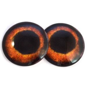 May include: Two round, orange and black, realistic looking animal eyes. The eyes are made of plastic and have a glossy finish.
