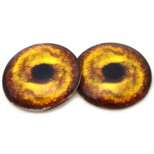 May include: Two round, yellow and brown glass eyes with black pupils. These are realistic looking animal eyes for craft projects.