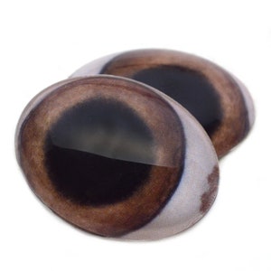 Realistic Oval Brown Pig Glass Eyes - 13mm x 18mm, 18mm x 25mm, 30mm x 40mm Art Doll Eyes Farm Animal Swine Warthog Boar Sculpture Making