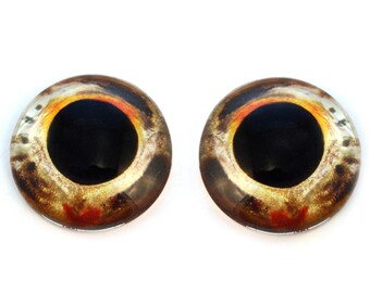 Goldfish Realistic Fish Glass Eyes - 6mm to 40mm - Jewelry Cabochons Doll Making Supplies Taxidermy Sculptures - Domed Natural Life Like