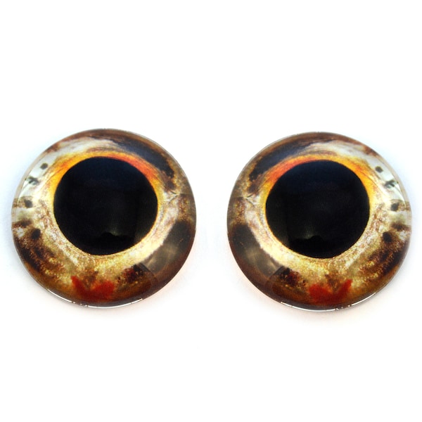 Goldfish Realistic Fish Glass Eyes - 6mm to 40mm - Jewelry Cabochons Doll Making Supplies Taxidermy Sculptures - Domed Natural Life Like