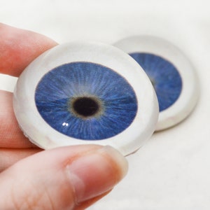 May include: Two blue glass eyes with white sclera and black pupils. The eyes are round and have a realistic appearance.