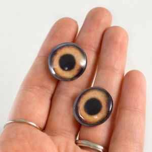 Puede incluir: Dos ojos de vidrio marr&oacute;n y negro con una pupila negra y un iris marr&oacute;n claro. Los ojos est&aacute;n sobre un fondo blanco.