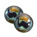 see more listings in the Glass Fish Eyes section