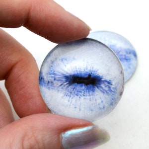 May include: Two white glass eyes with blue irises and black pupils. The eyes are round and have a realistic look.