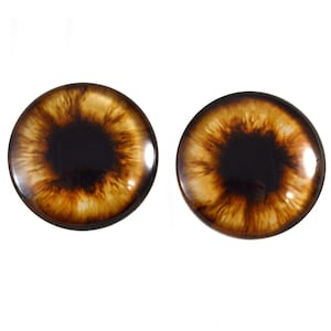 May include: Two brown glass eyes with black pupils, suitable for use in craft projects.