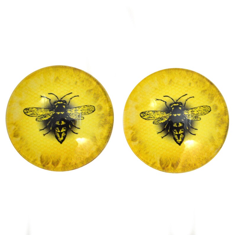 Bright Yellow Honey Bee Cabochons 6mm to 40mm Jewelry Making Art Dolls Bug Insect Taxidermy Sculptures Eyeball Flatback Domed Viking