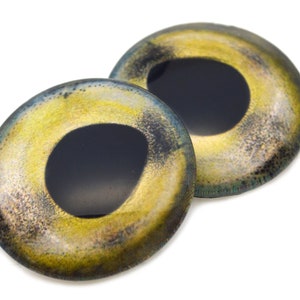 May include: Two round, plastic, fish eyes with black pupils and a yellow, green, and brown iridescent finish.